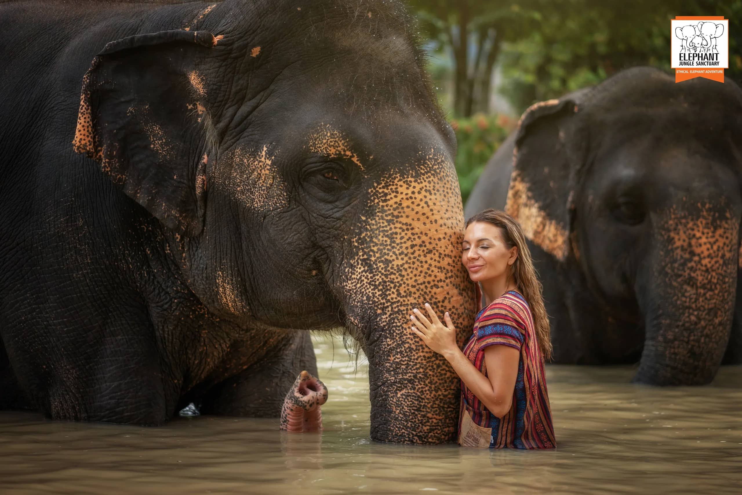 Half Day at Elephant Jungle Sanctuary Phuket (photo 10)