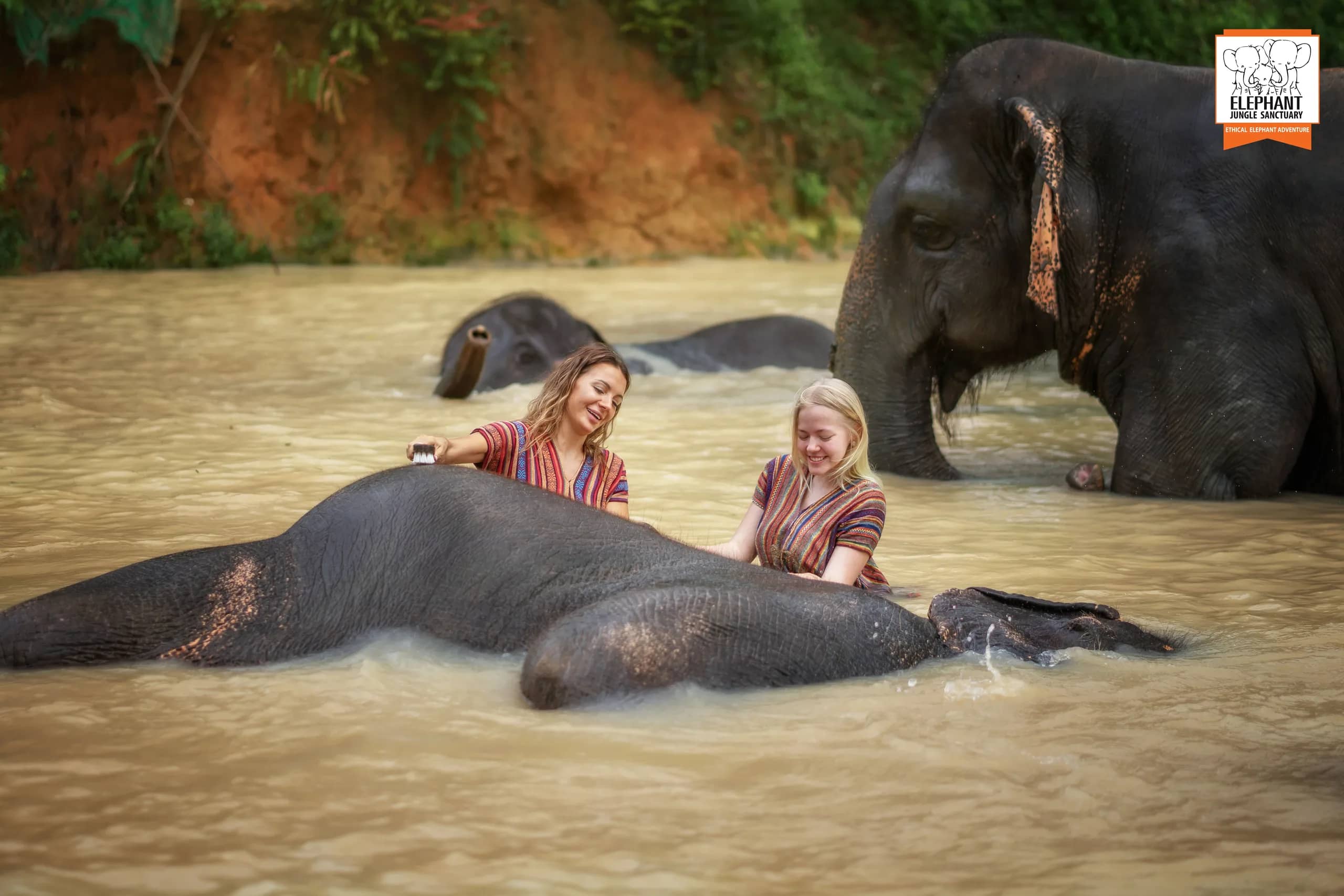 Half Day at Elephant Jungle Sanctuary Phuket (photo 11)
