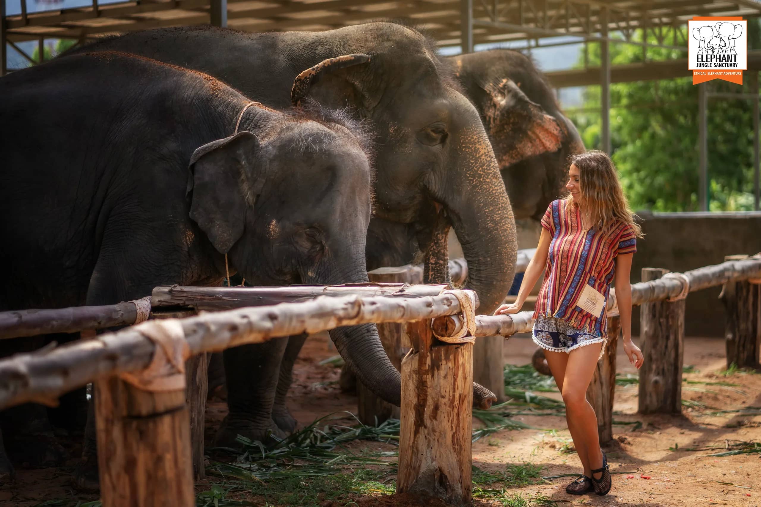 Half Day at Elephant Jungle Sanctuary Phuket (photo 2)