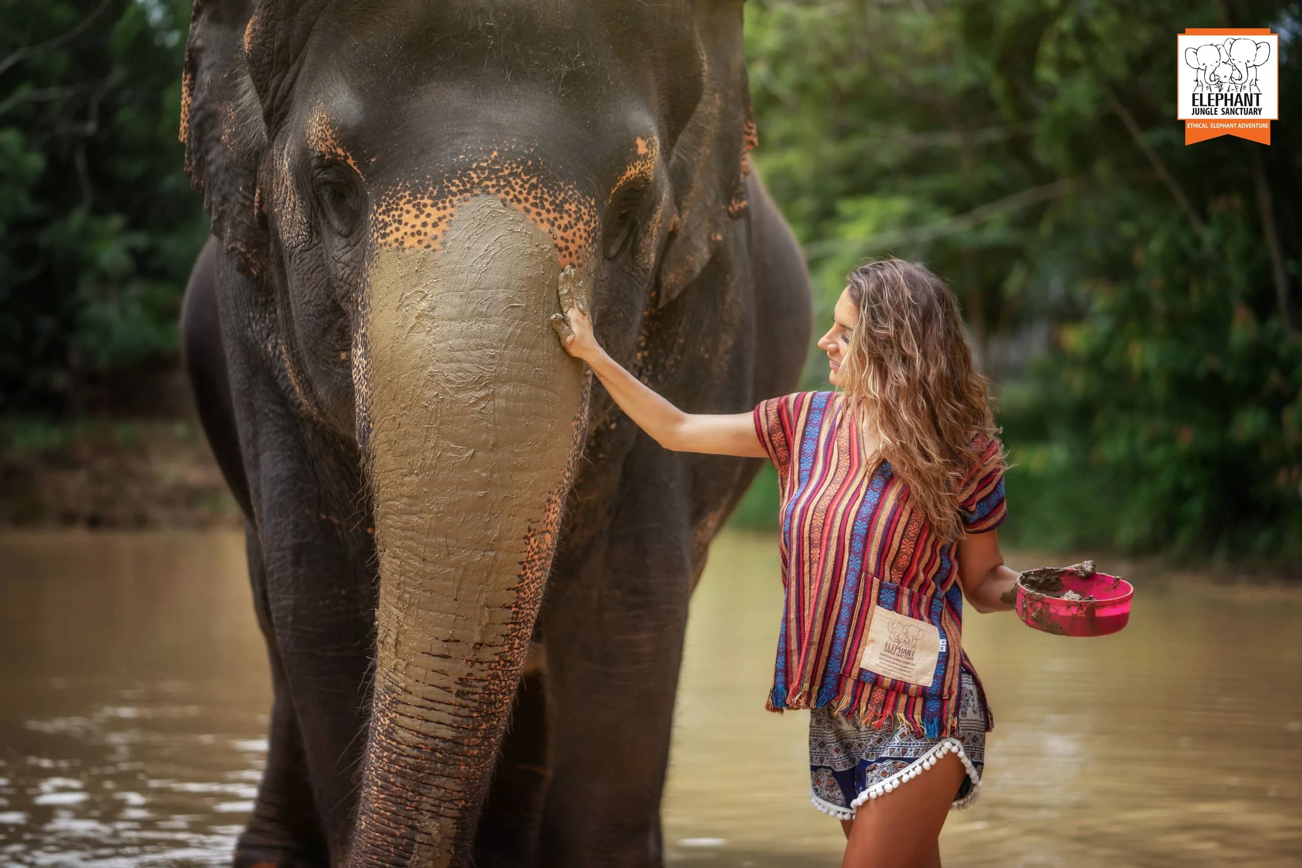 Half Day at Elephant Jungle Sanctuary Phuket (photo 6)