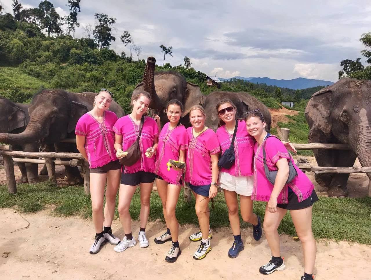 Half Day Elephant Observation & Cultural Activities (Morning) - photo 2