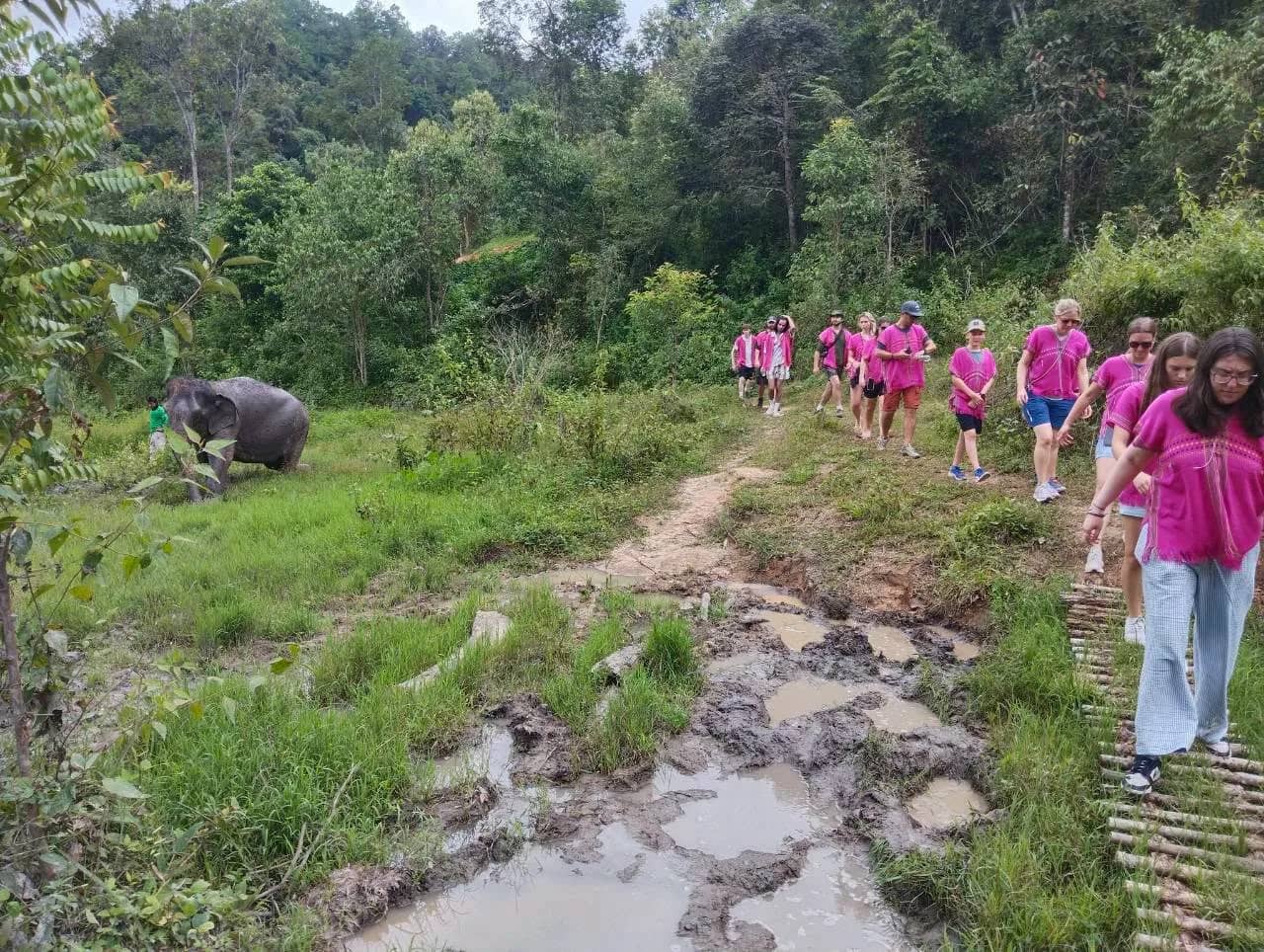 Half Day Elephant Observation & Cultural Activities (Morning) - photo 4