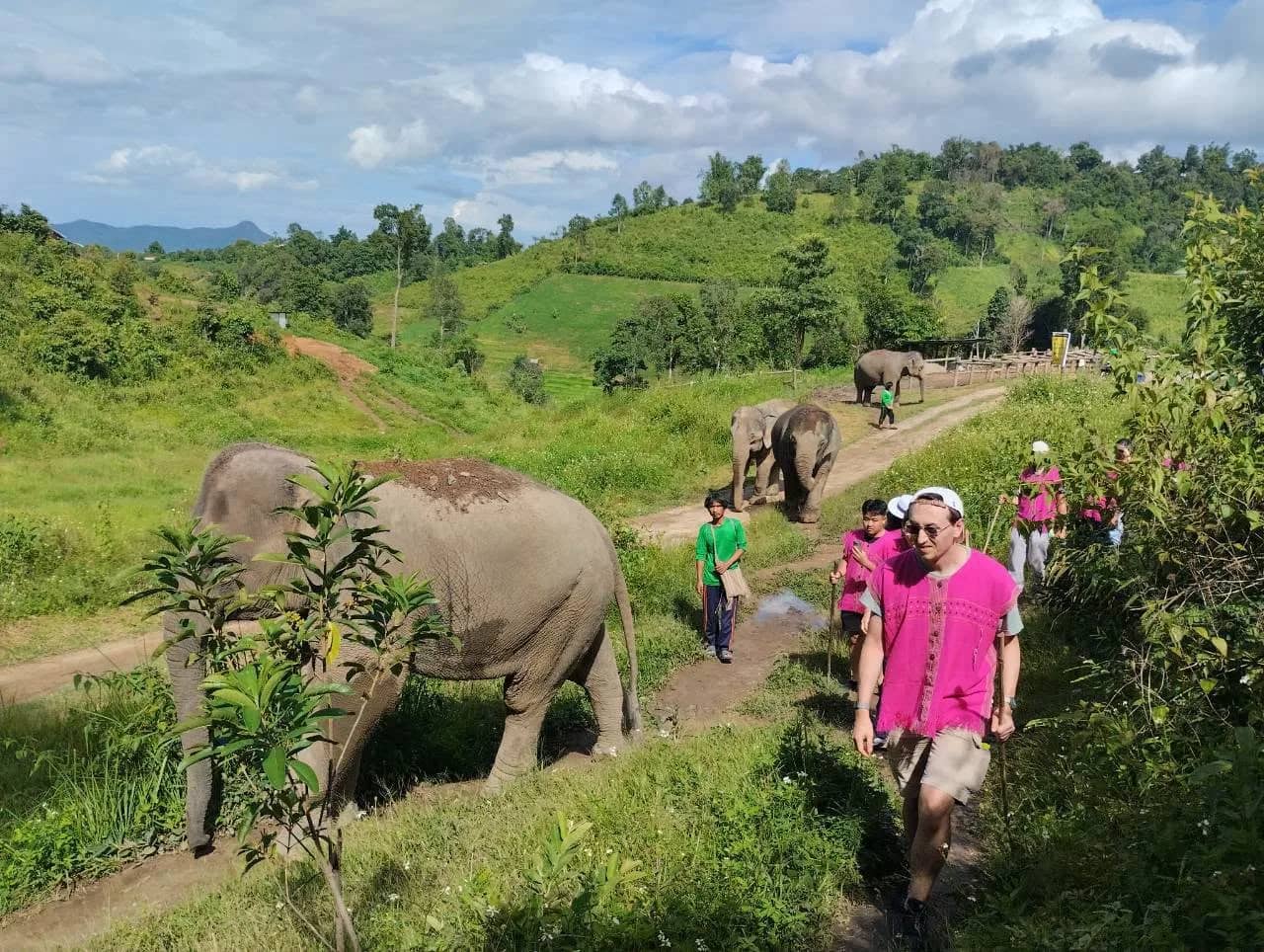 Half Day Elephant Observation & Cultural Activities (Afternoon) - photo 3