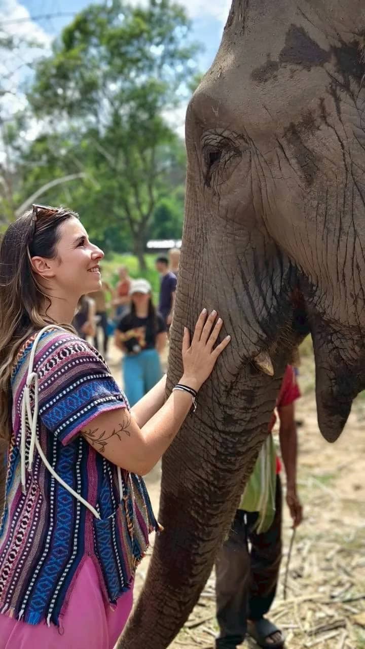 Half Day Elephant Experience