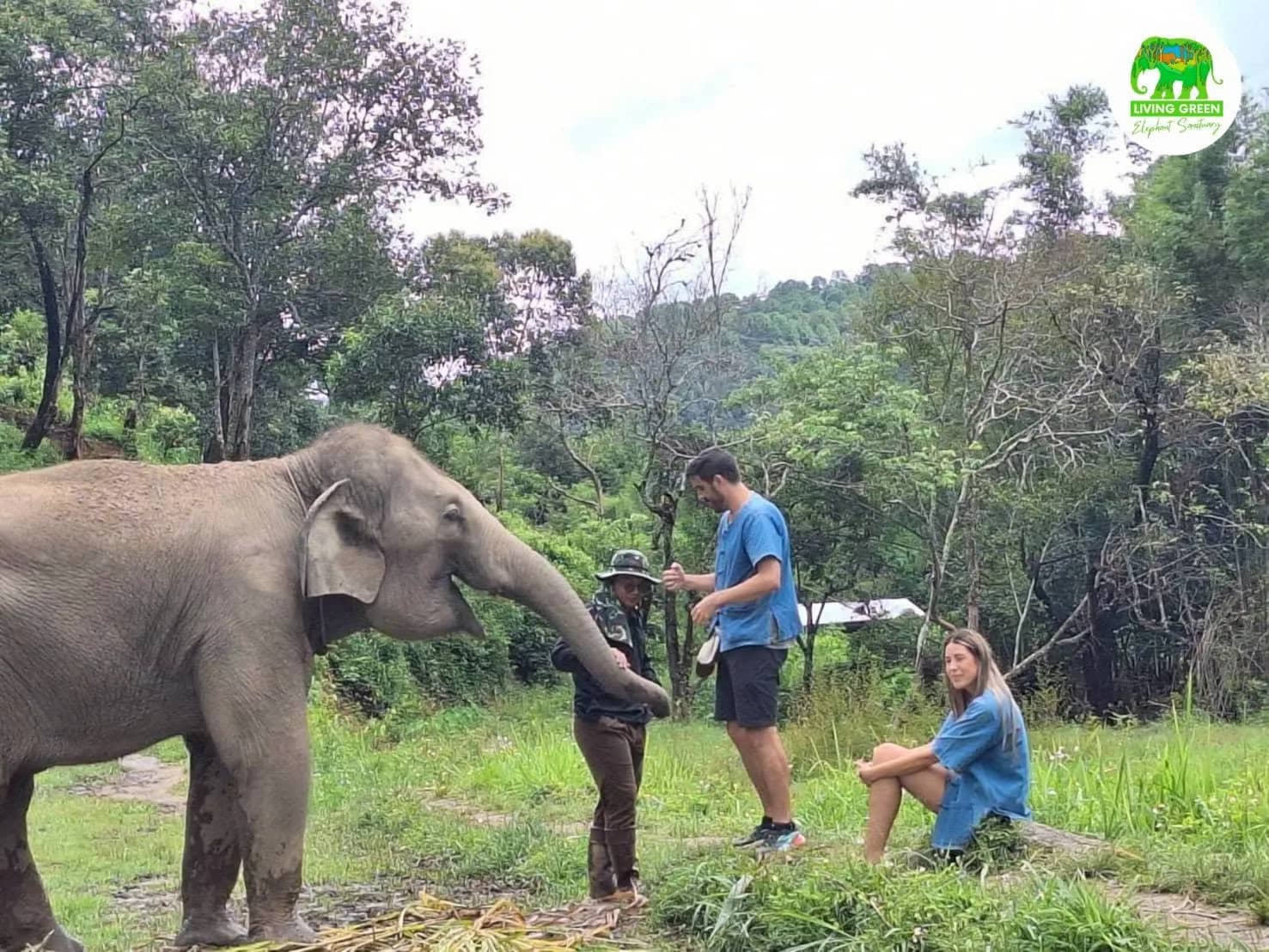 Half-Day Morning Living Green Elephant Sanctuary - photo 5
