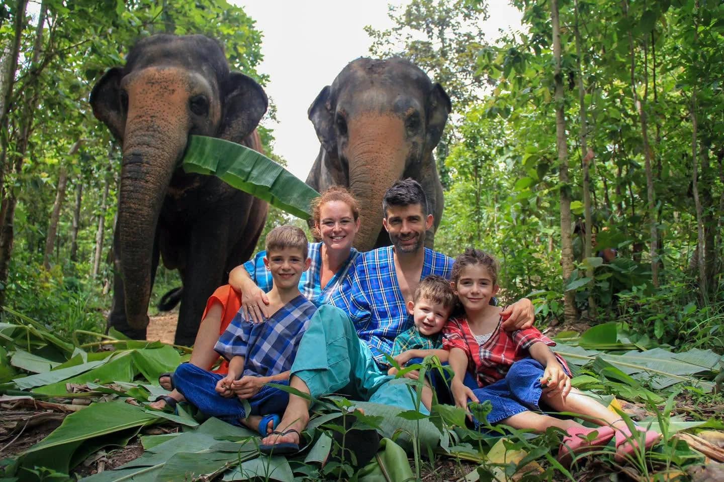 Half Day Morning - Mae Rim Elephant Sanctuary - photo 4