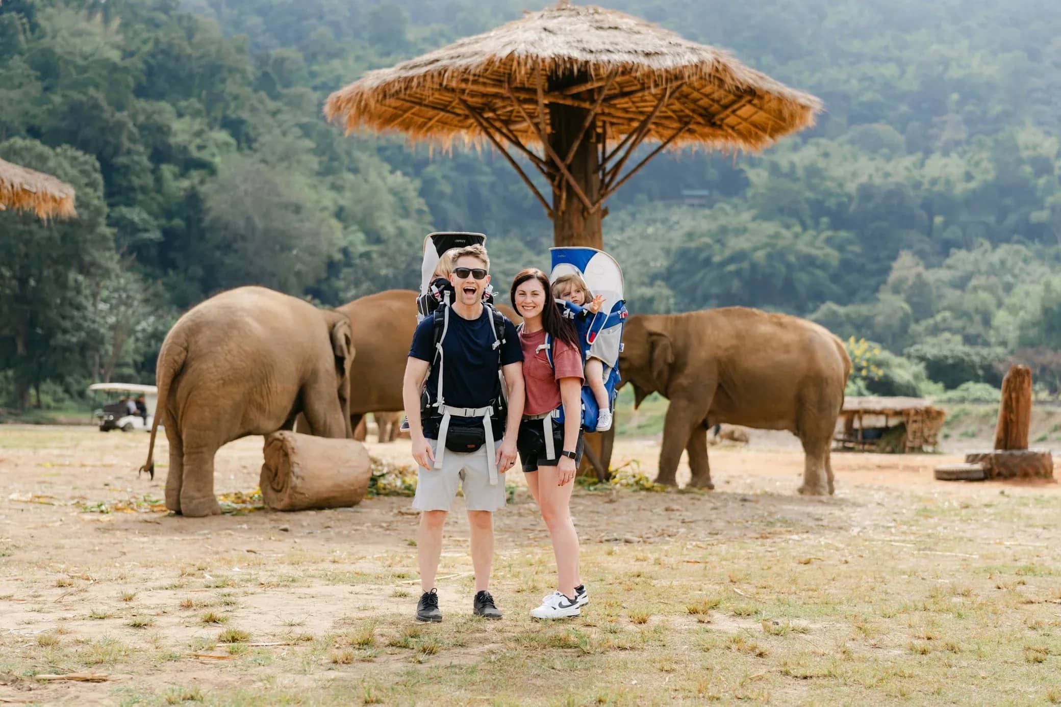Half Day Morning Visit to Elephant Nature Park - photo 6