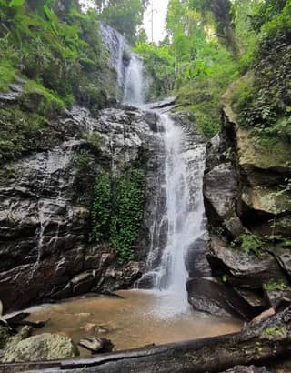 Half-day Nature Trek & Waterfall - photo 2