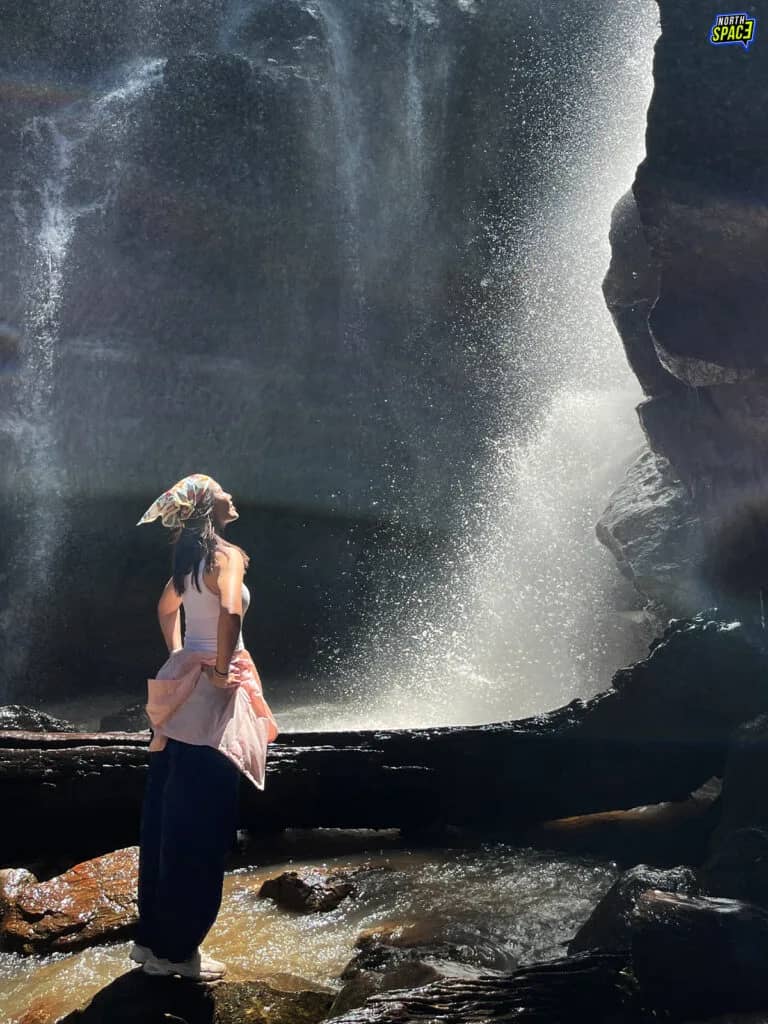 Half-day Nature Trek & Waterfall