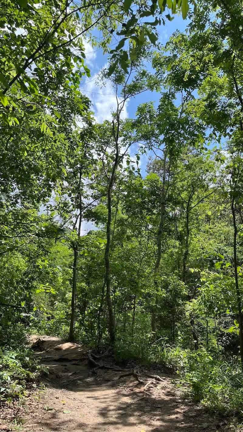 Half-day Nature Trek & Waterfall - photo 3
