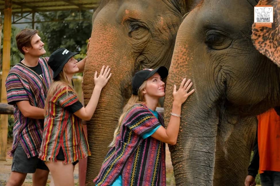 Half Day Premium Elephant Jungle Sanctuary Phuket