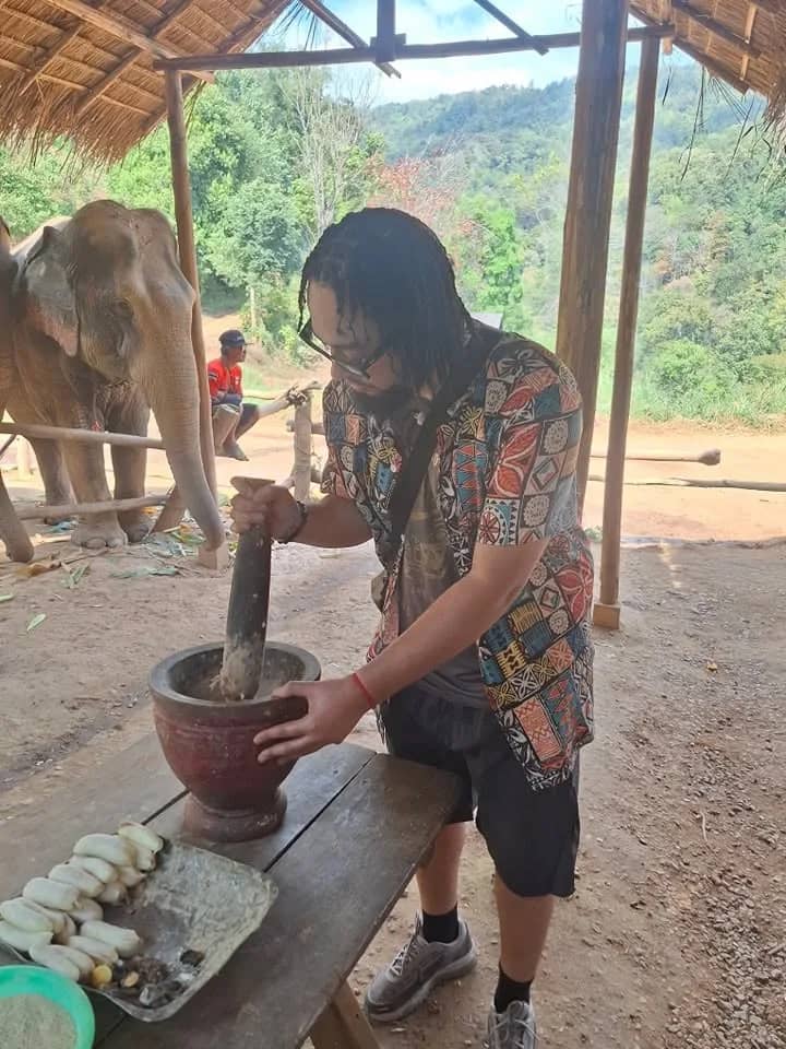 Half Day Program: Elephant Care & Make herbal medicine ball - photo 2