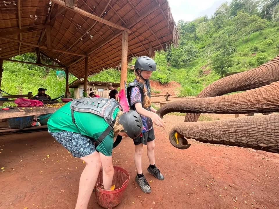 Half Day Program: Elephant Care & Make herbal medicine ball - photo 5