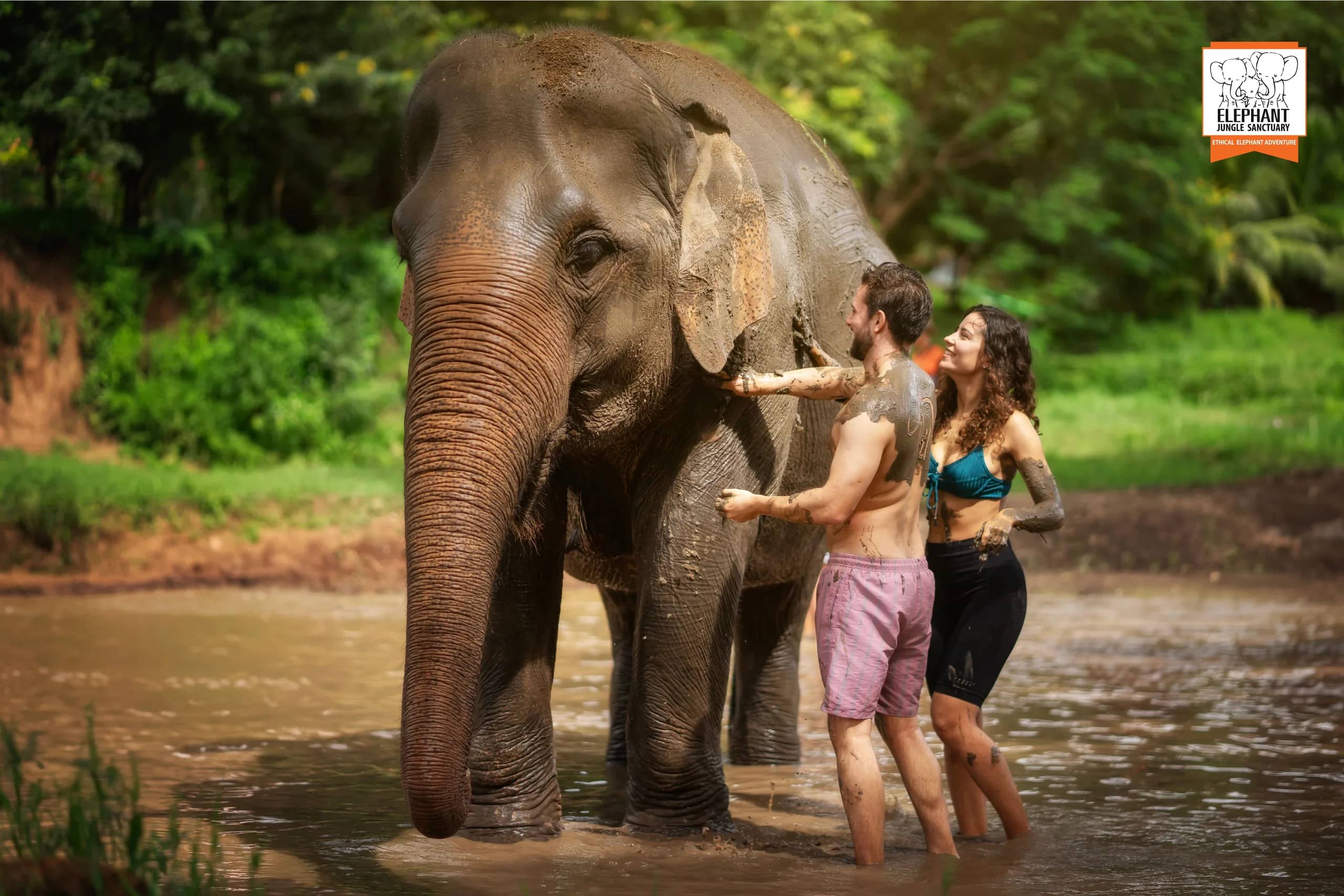 Half Day Visit at Elephant Jungle Sanctuary Chiang Mai (photo 5)