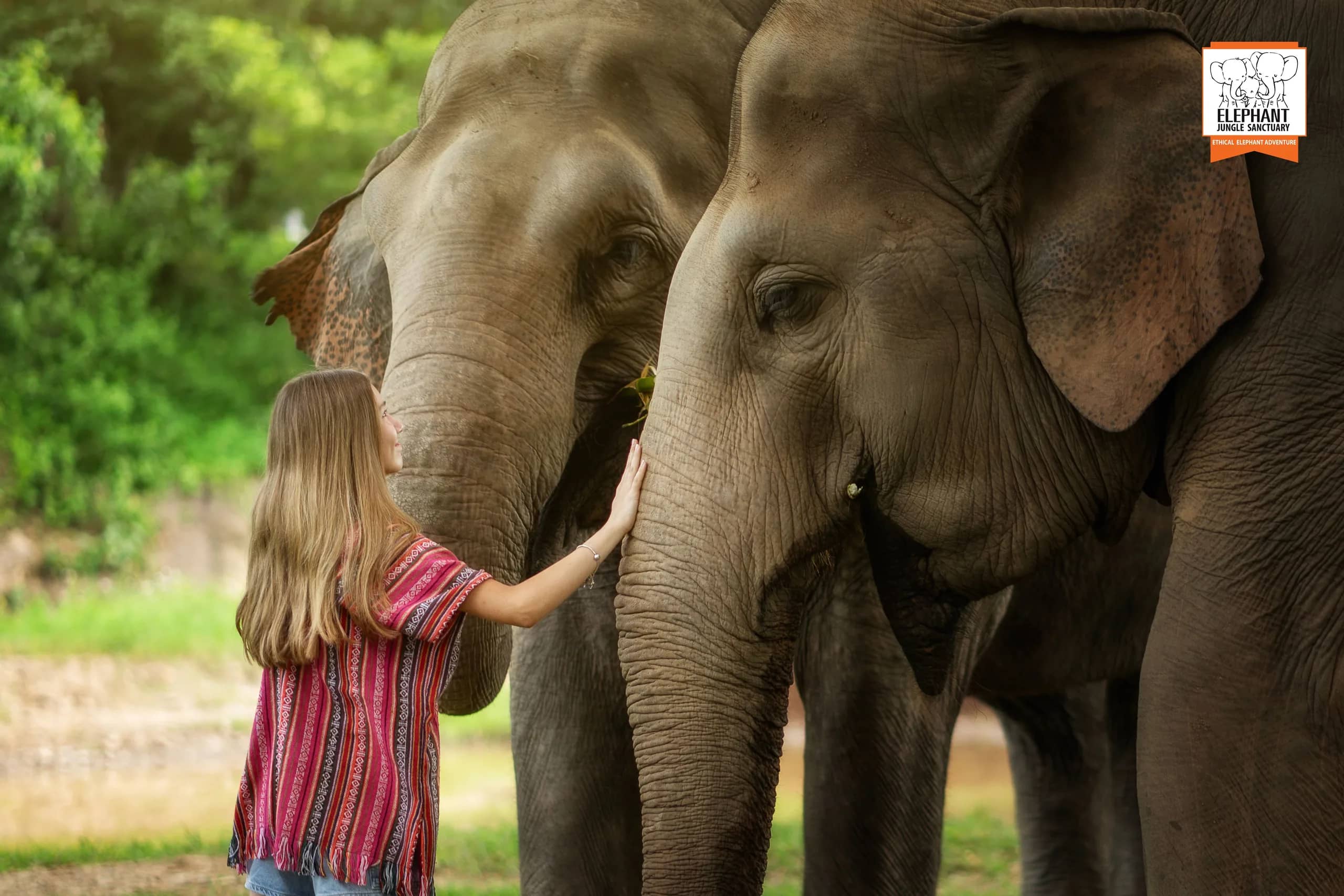 Half Day Visit at Elephant Jungle Sanctuary Chiang Mai (photo 8)