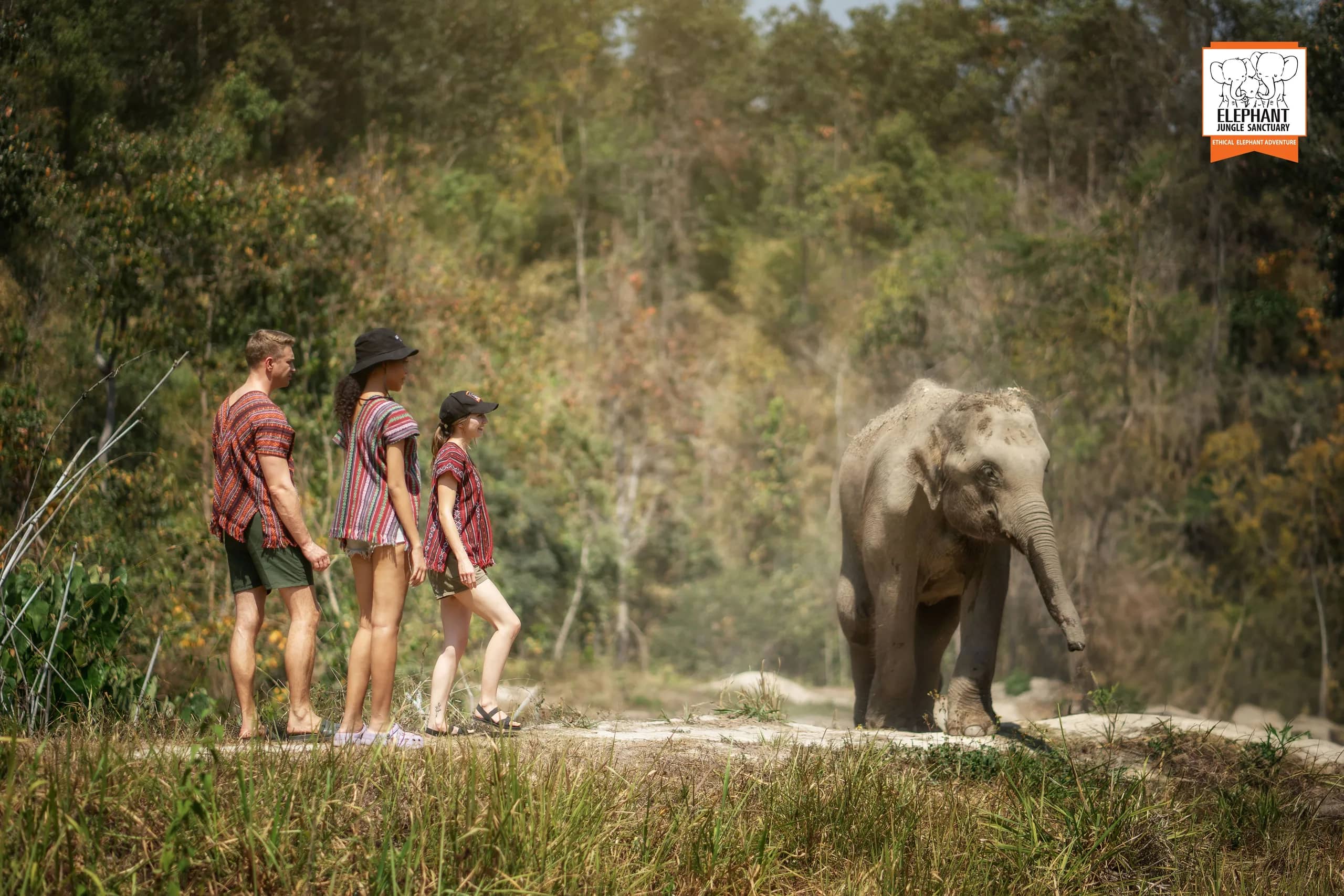 Half Day Visit at Elephant Jungle Sanctuary Chiang Mai (photo 9)