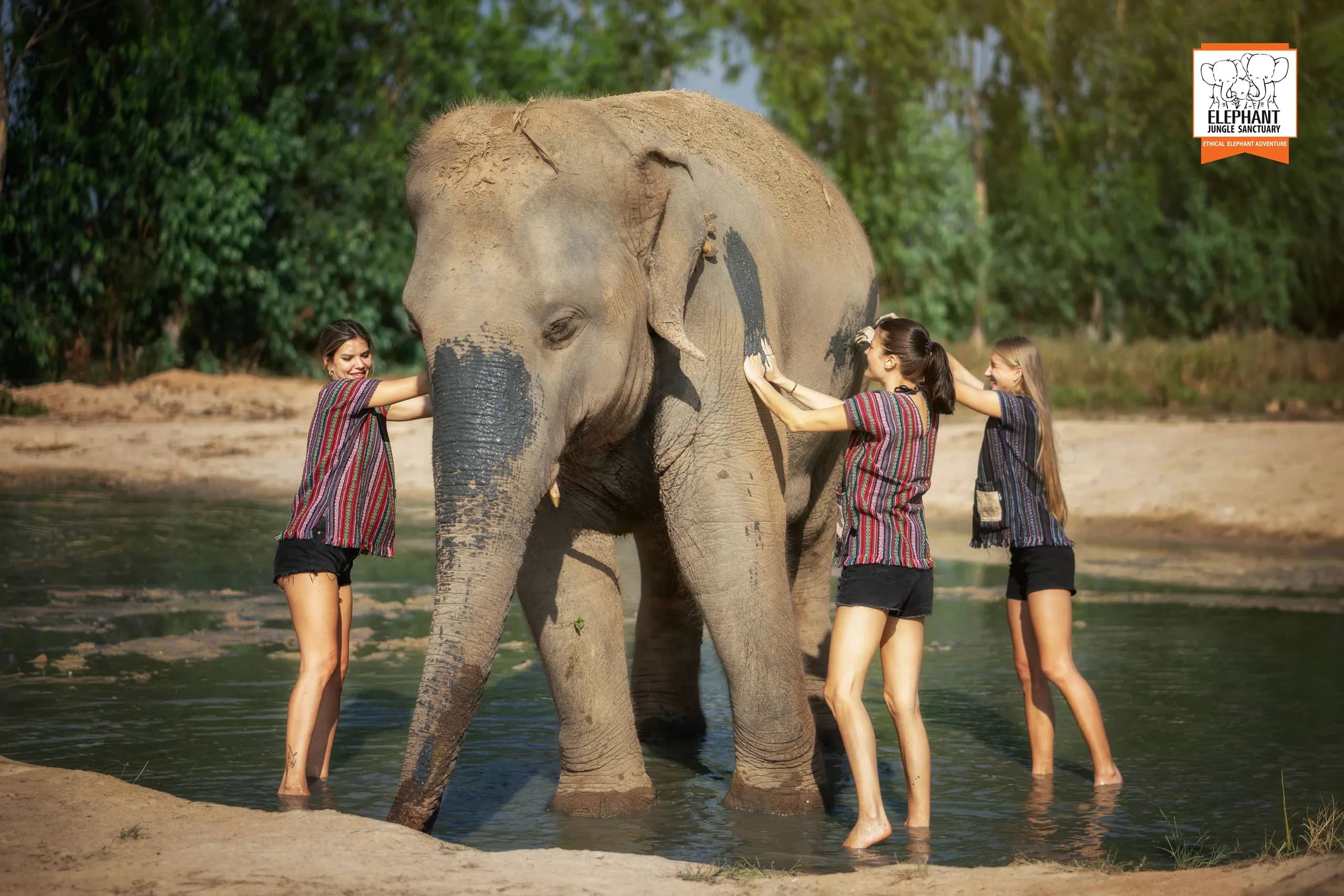 Half Day Visit - Elephant Jungle Sanctuary Pattaya