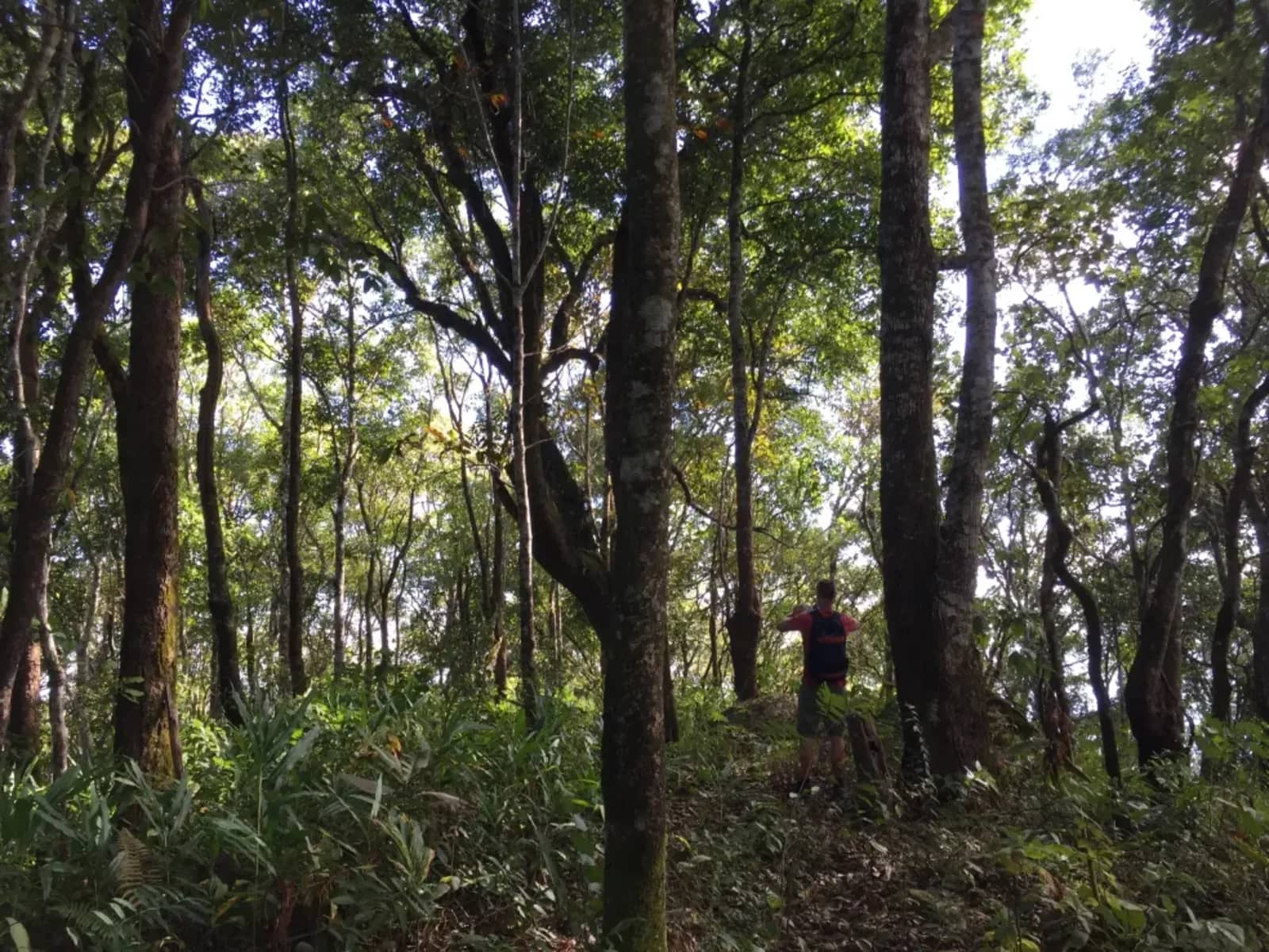 High Mountain Trek - Mae Taeng Highlands - photo 3