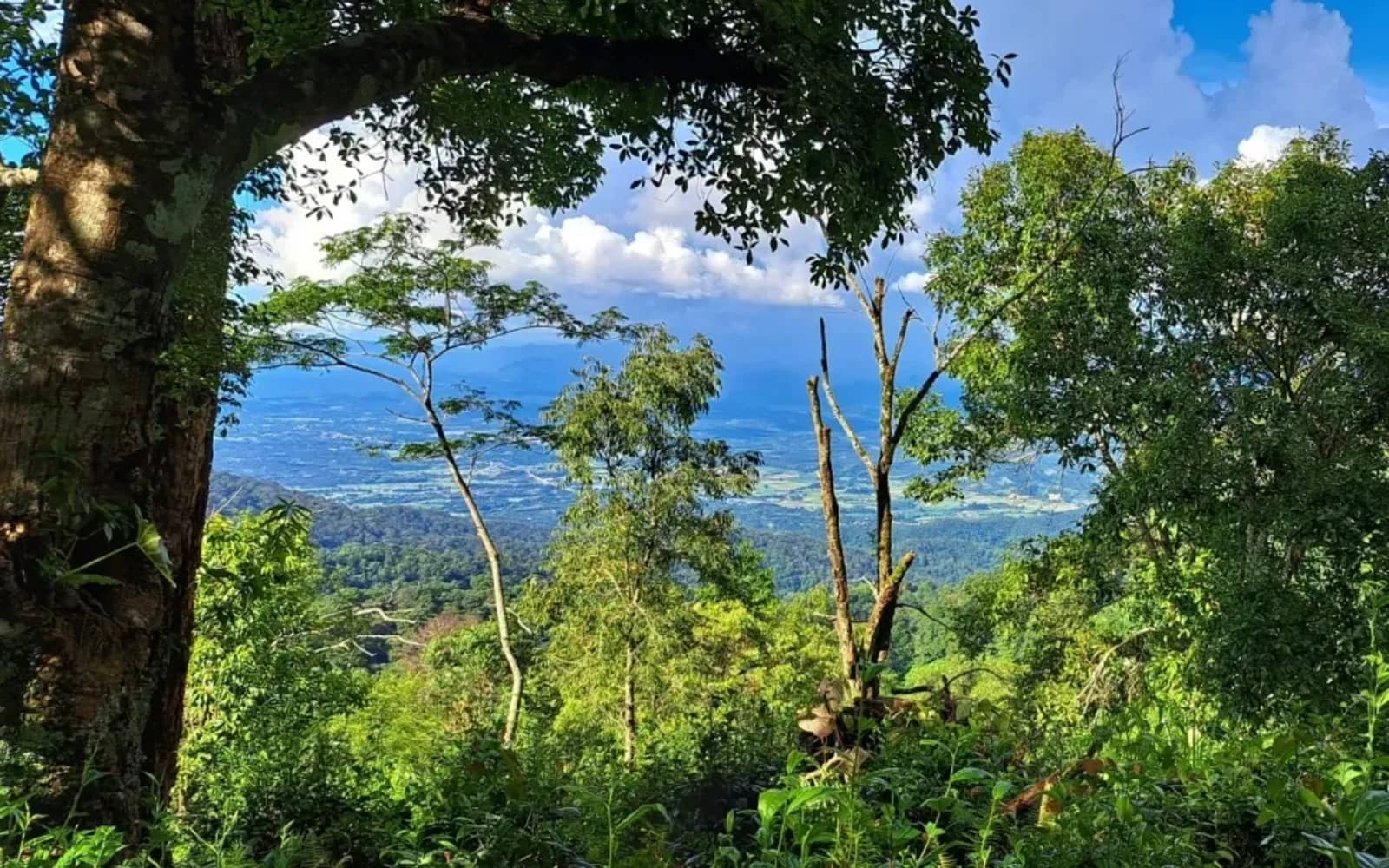 High Mountain Trek - Mae Taeng Highlands - photo 2