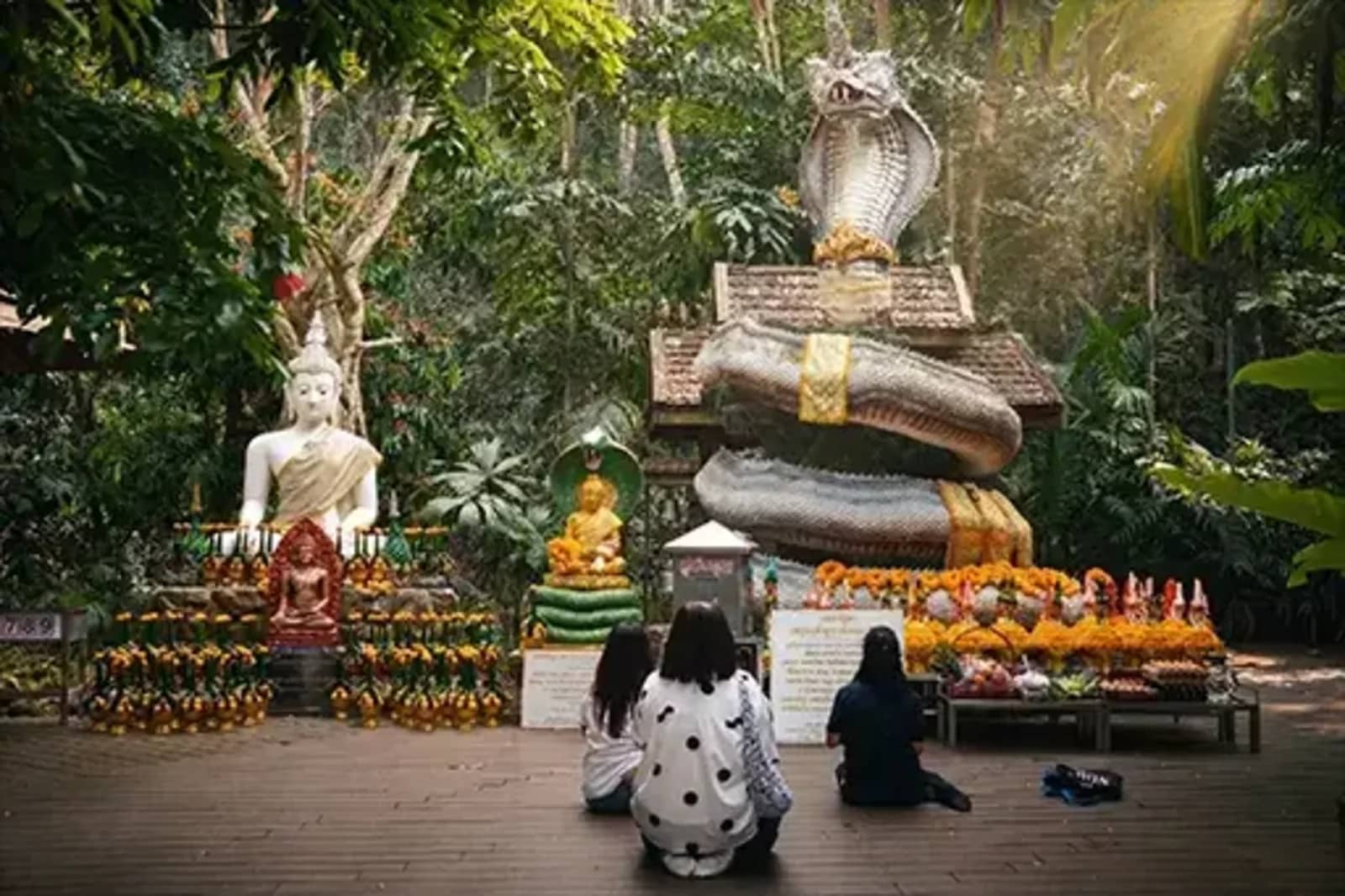 Mon Kuwen + Mae Kampong Village & San Kamphaeng Hot Springs - photo 13