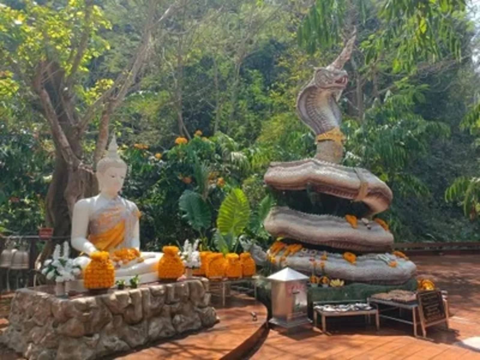 Mon Kuwen + Mae Kampong Village & San Kamphaeng Hot Springs - photo 12