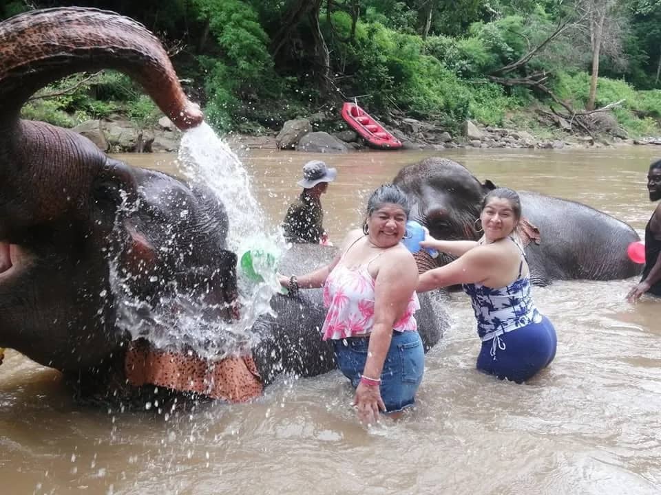 One Day ATV Riding 1 HR + Whitewater Rafting 4 Km + Elephant Care