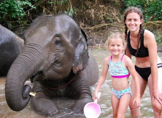 One Day Doi Inthanon National park and Elephant Experience - photo 2