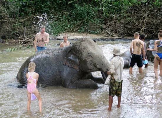 One Day Doi Inthanon National park and Elephant Experience - photo 3