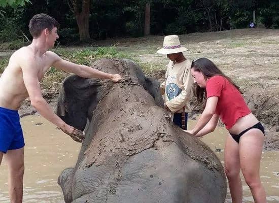 One Day Doi Inthanon National park and Elephant Experience - photo 4