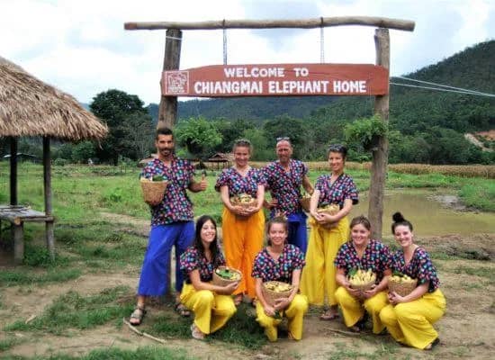One Day Doi Inthanon National park and Elephant Experience - photo 5