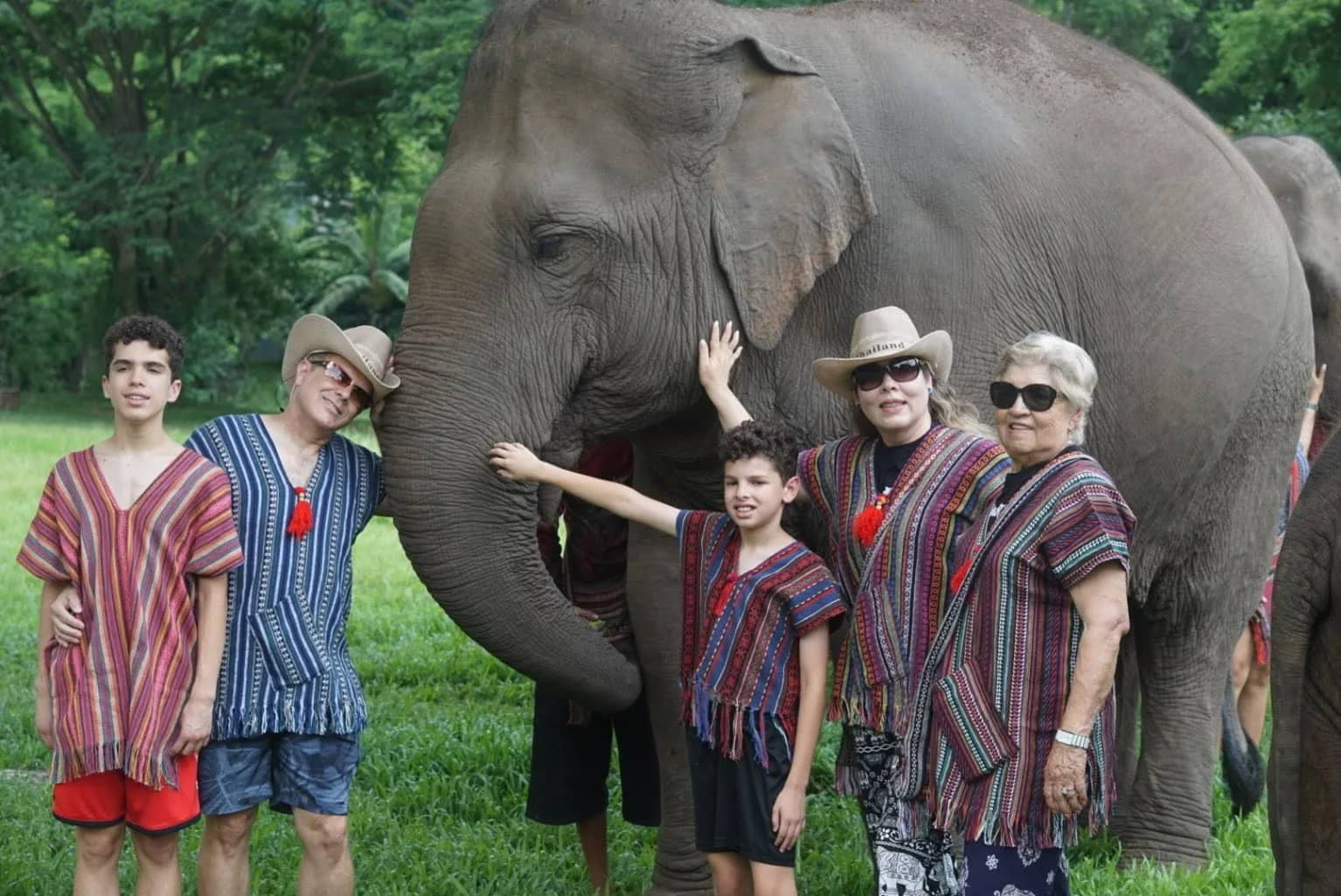 One Day Elephant Lover + Whitewater Rafting + Sticky Waterfall