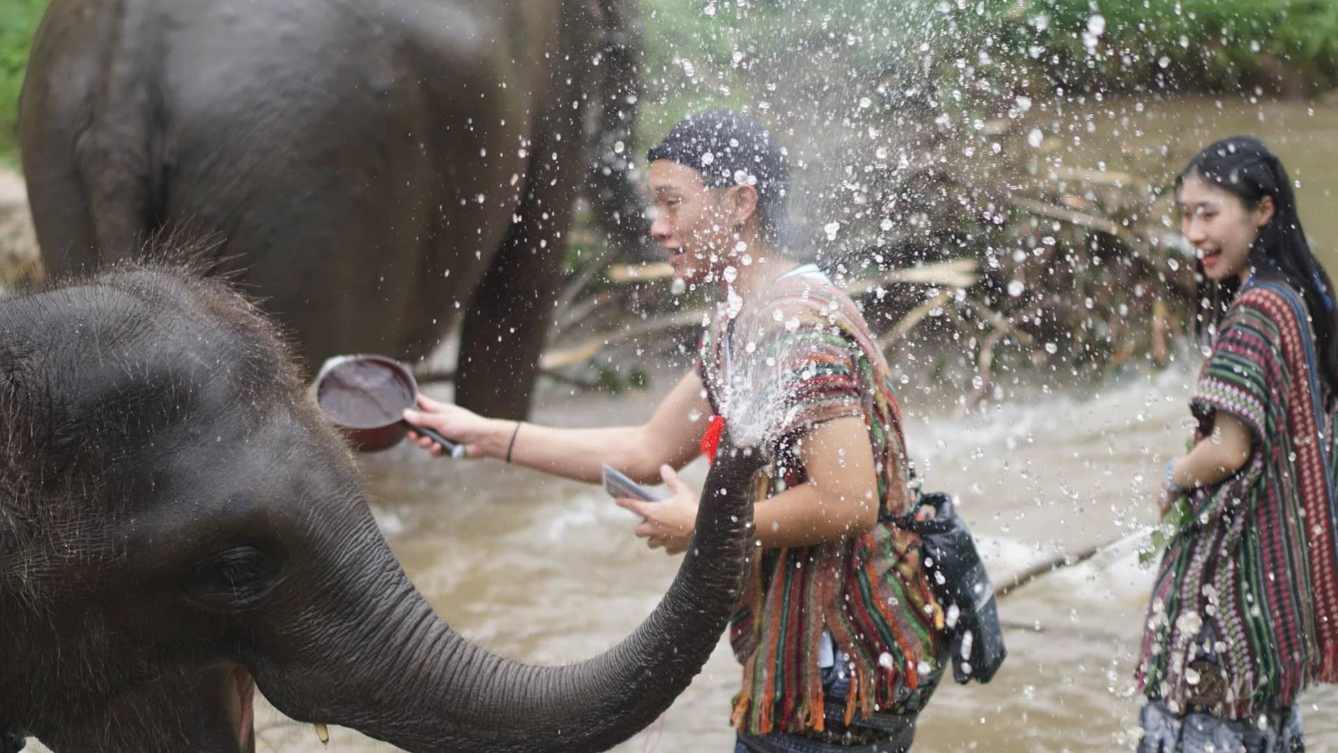 One Day Elephant Lover + Whitewater Rafting + Sticky Waterfall - photo 5