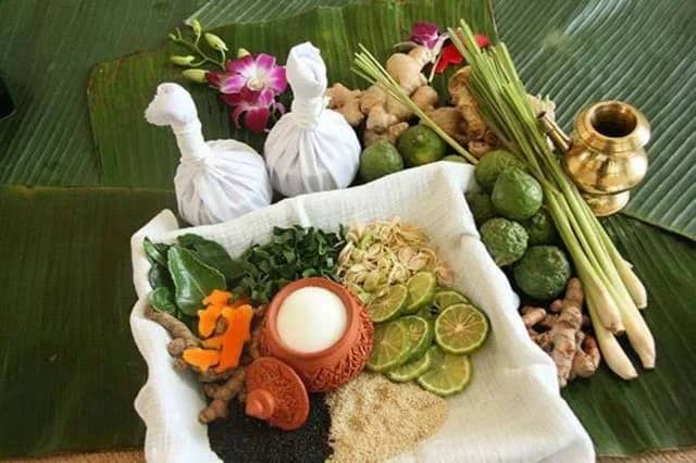 One-Day Ethical Elephant , Culture & Wellness Experience - photo 2