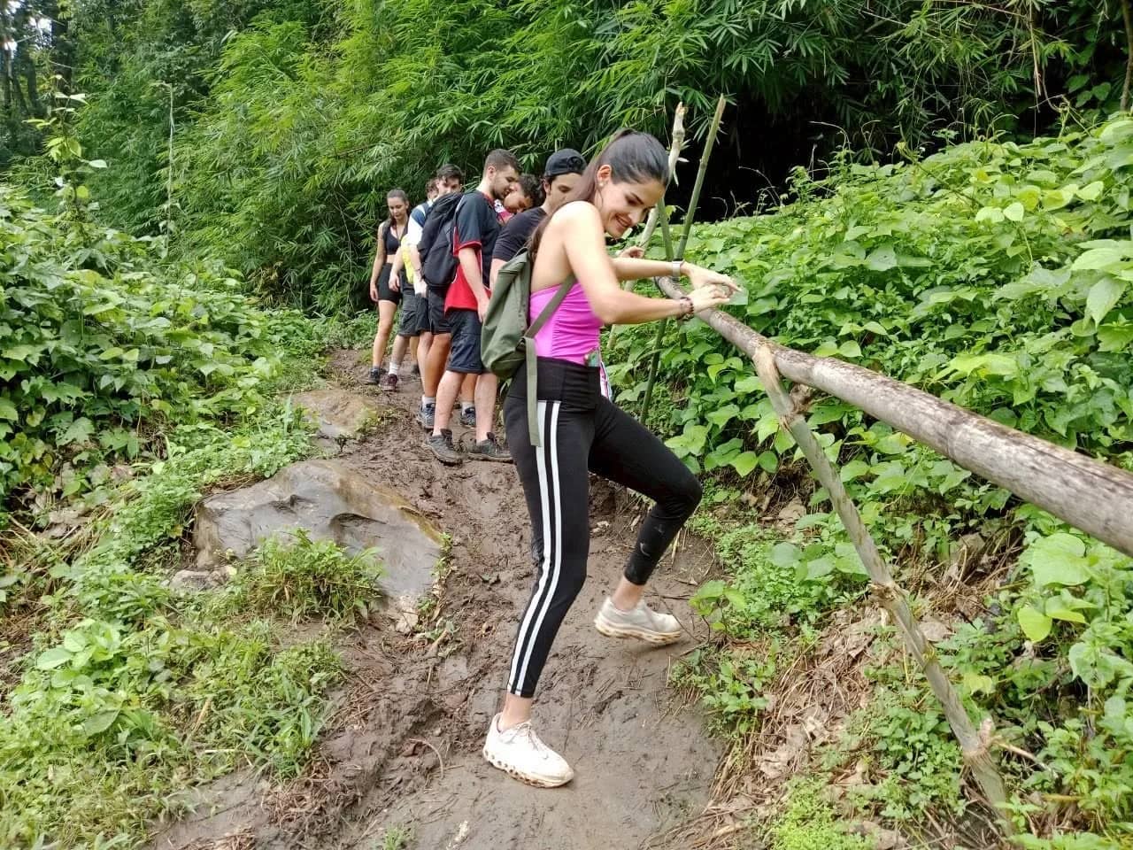 One Day Hiking and Elephant Experience