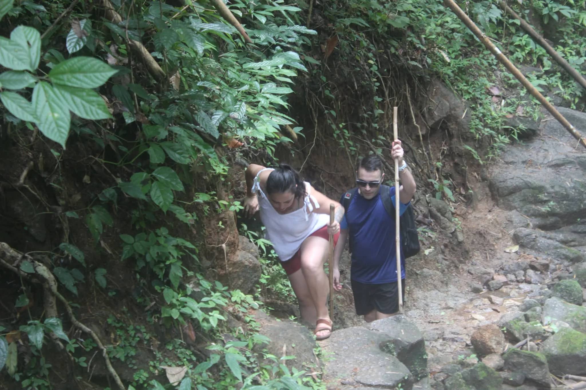 One Day Trekking + Whitewater Rafting & Elephant Care - photo 3