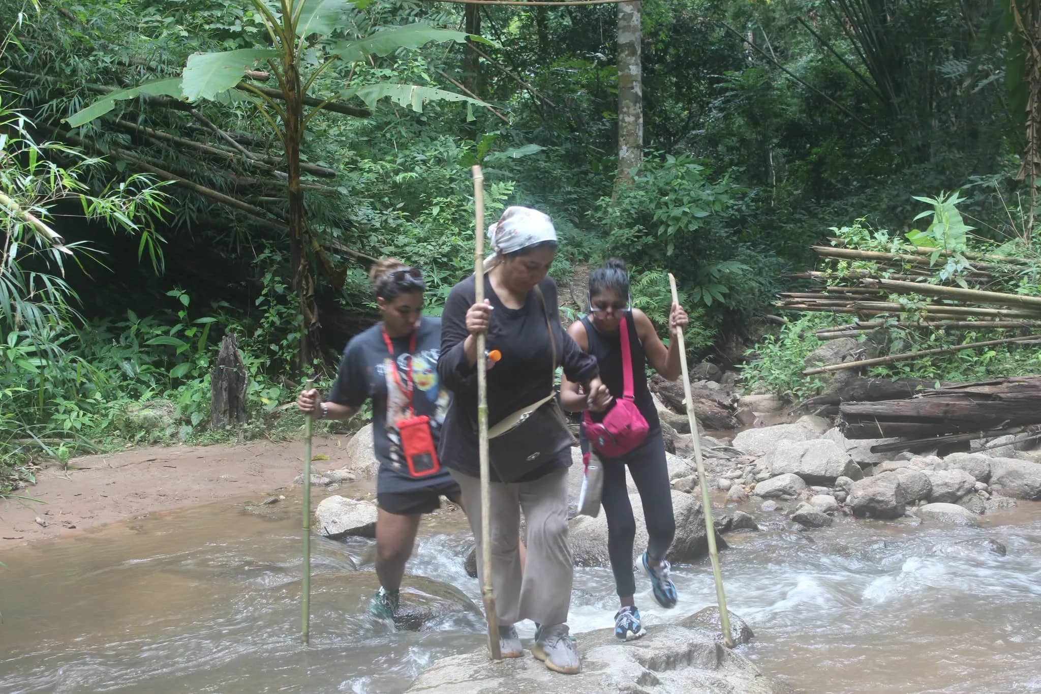 One Day Trekking + Whitewater Rafting & Elephant Care - photo 4