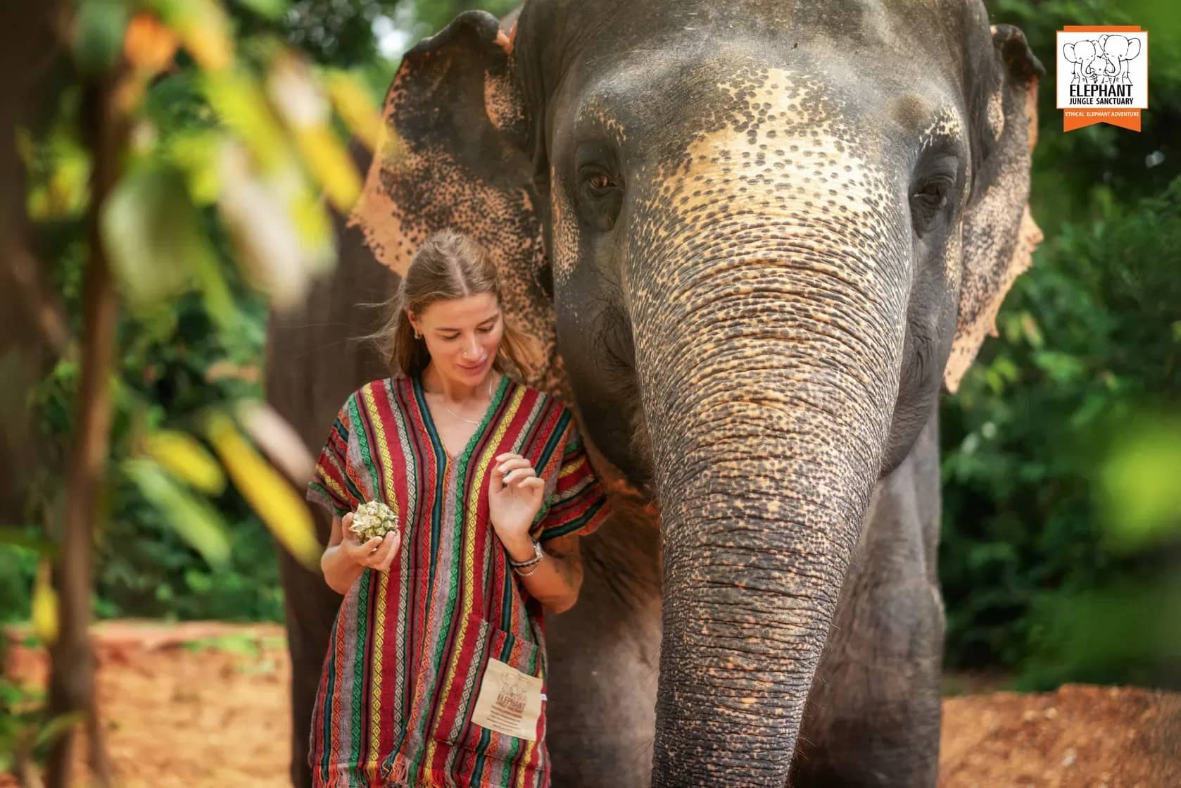 One Day Walk with Elephant - Elephant Jungle Sanctuary Phuket