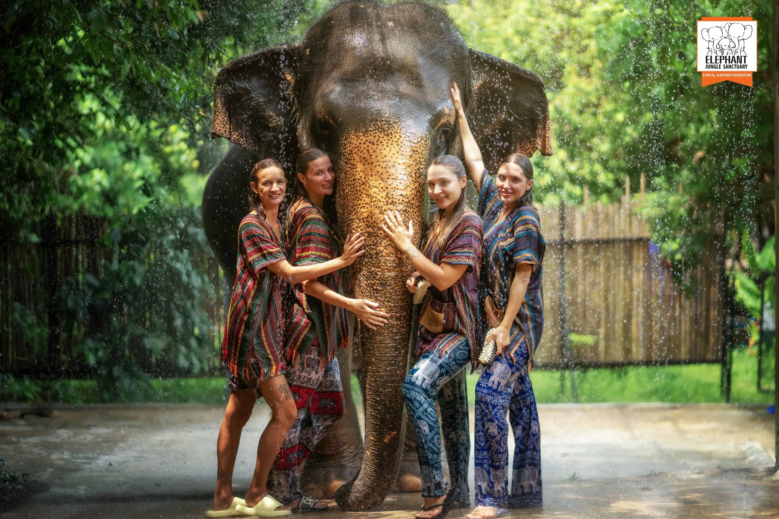 One Day Walk with Elephant at Elephant Jungle Sanctuary Phuket (photo 14)