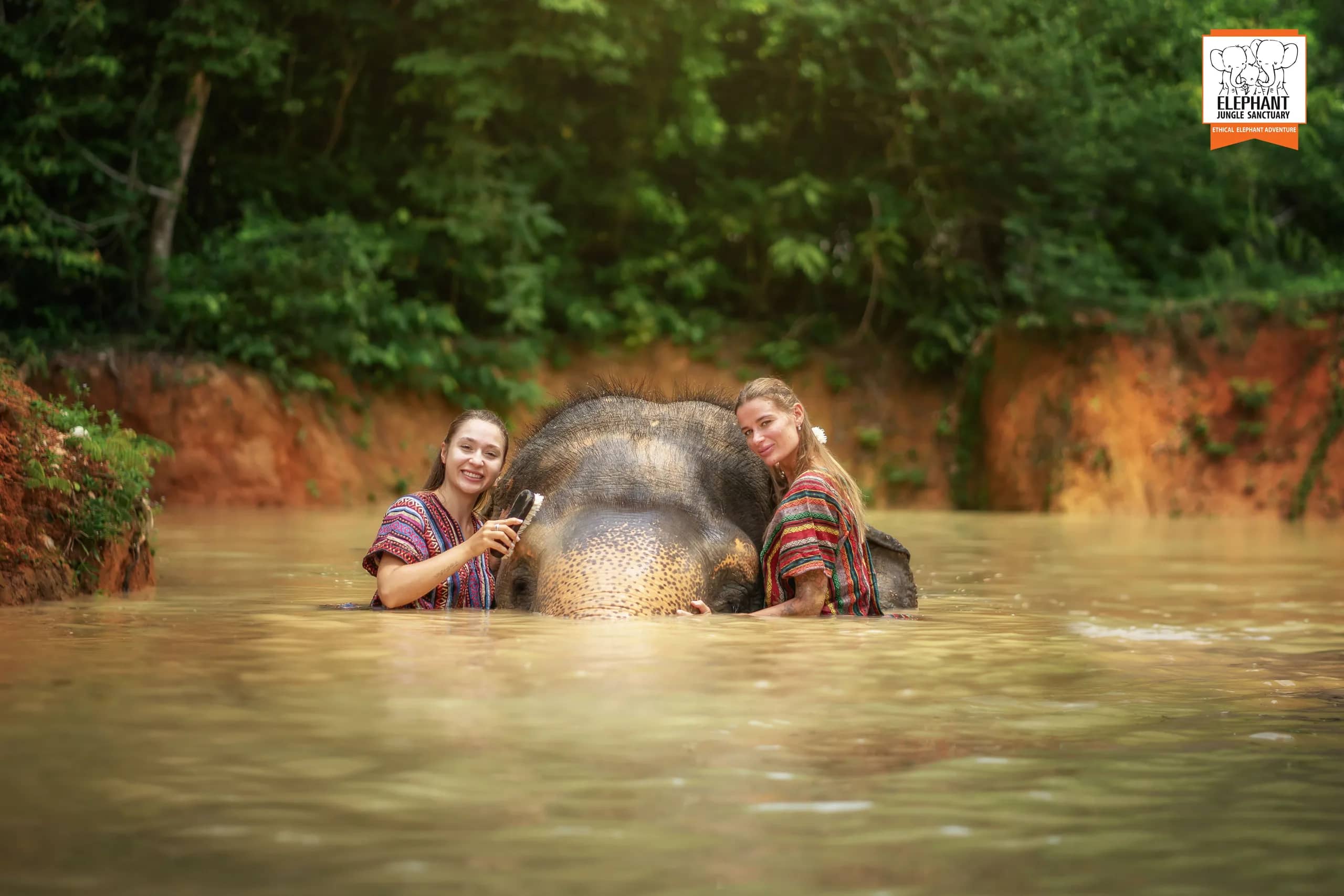 One Day Walk with Elephant at Elephant Jungle Sanctuary Phuket (photo 3)
