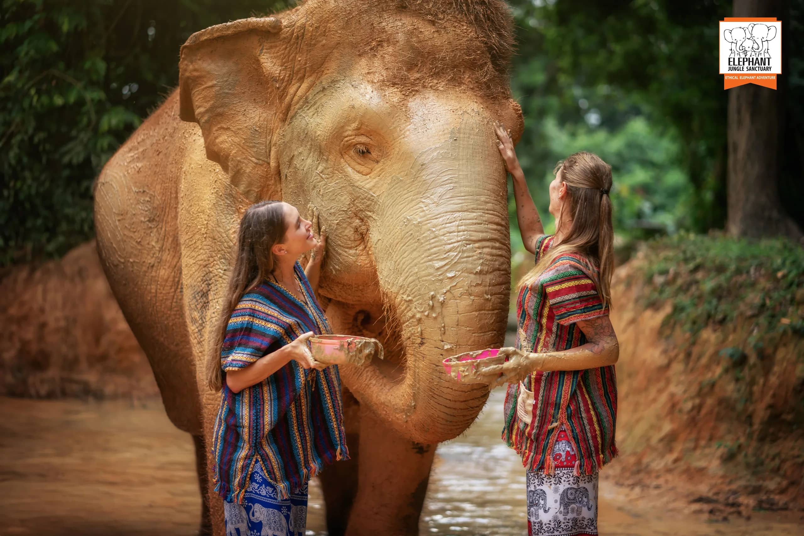 One Day Walk with Elephant at Elephant Jungle Sanctuary Phuket (photo 4)
