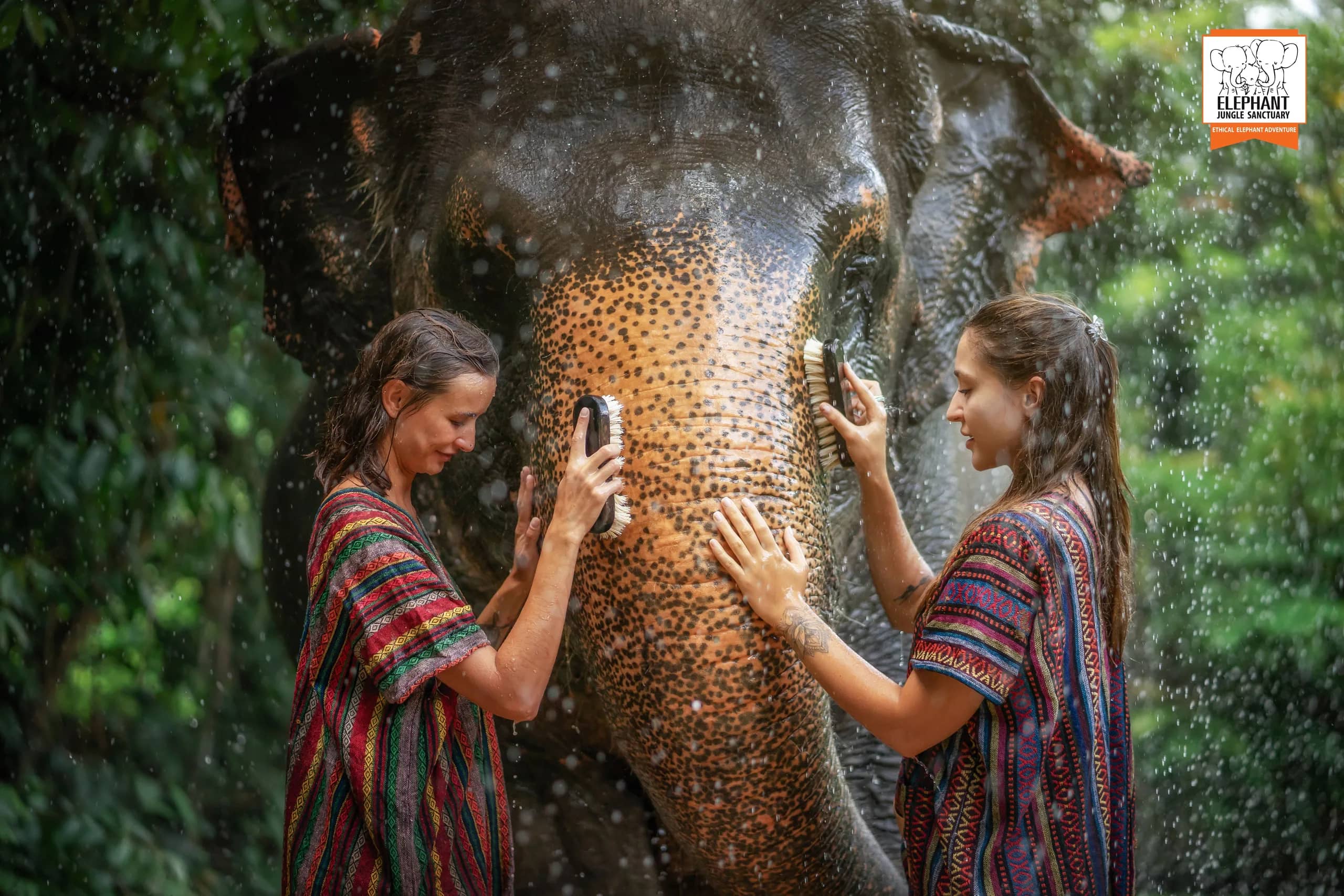 One Day Walk with Elephant at Elephant Jungle Sanctuary Phuket (photo 5)