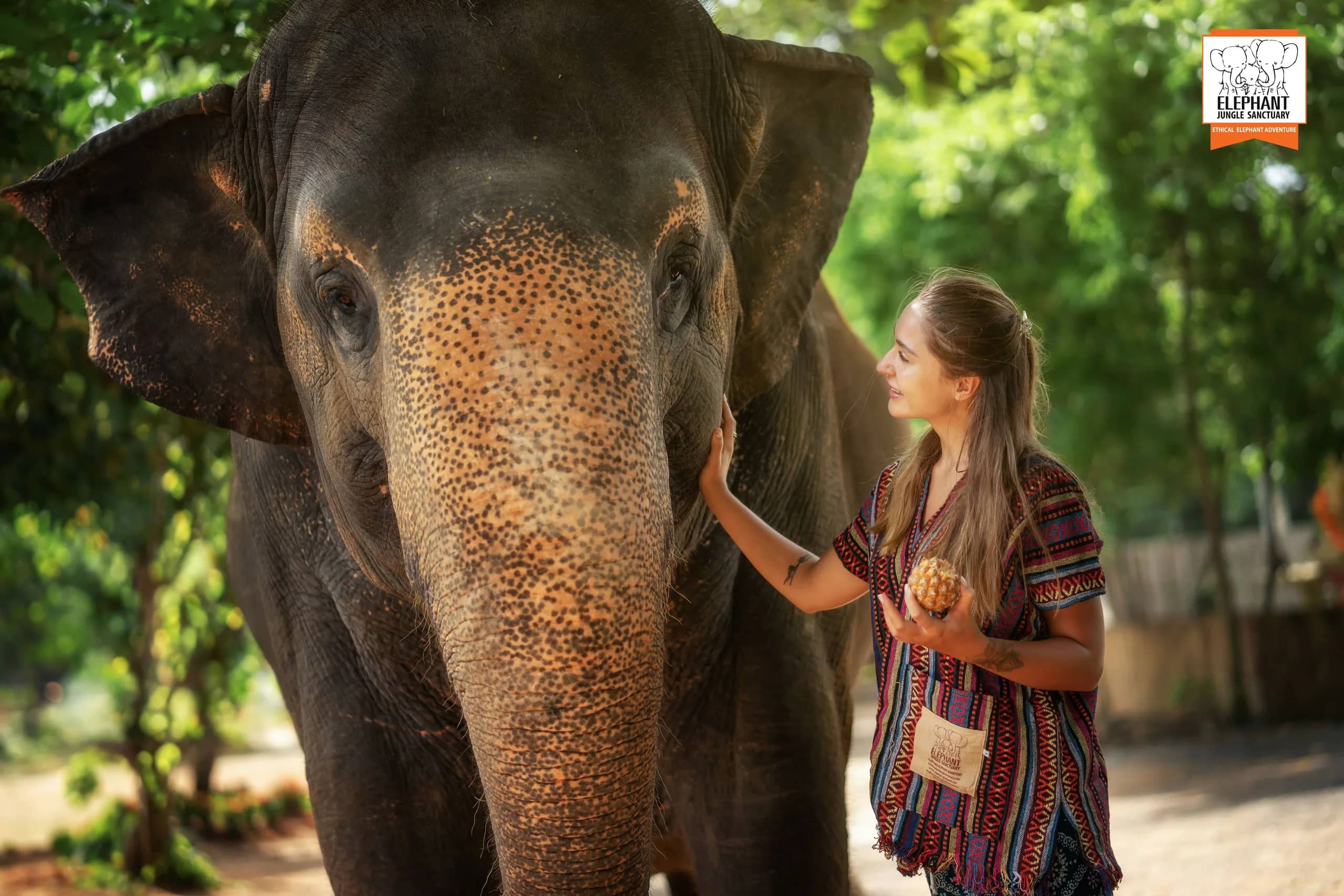One Day Walk with Elephant at Elephant Jungle Sanctuary Phuket (photo 7)
