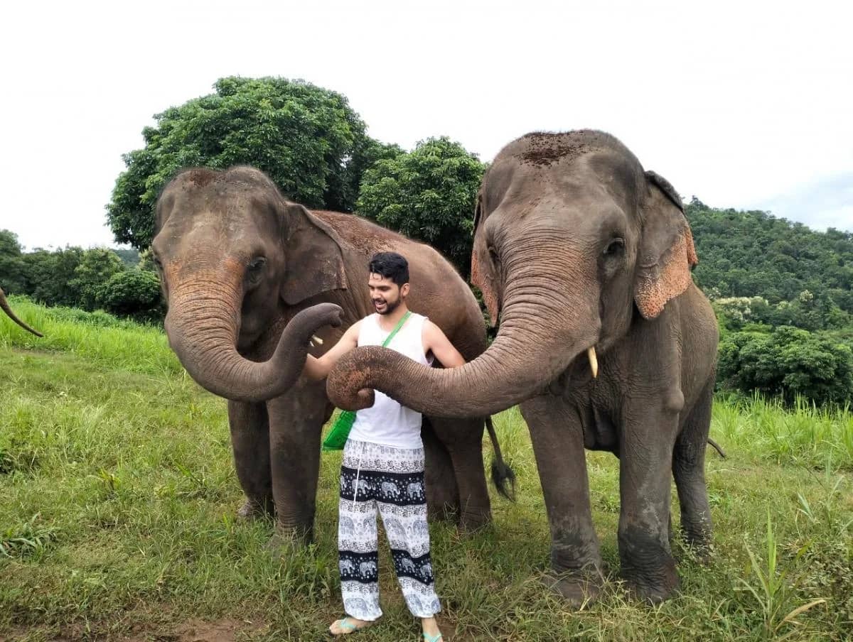 Pon Elephant Sanctuary - Monk Trail - Doi Suthep Tour