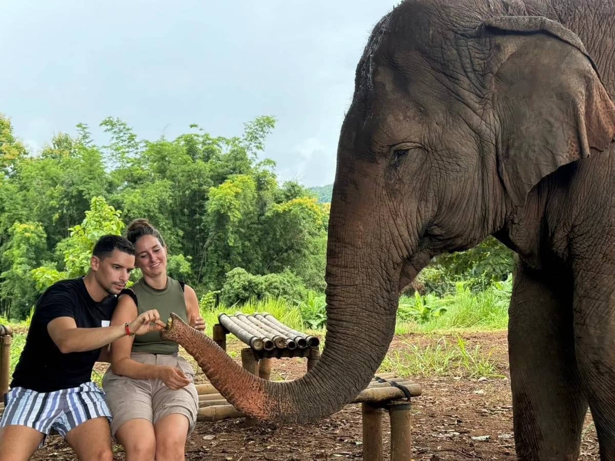 Pon Elephant Sanctuary - Monk Trail - Doi Suthep Tour - photo 4