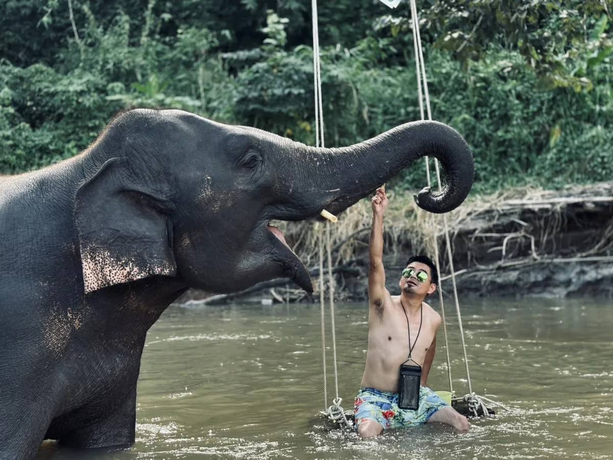 Pon Elephant Sanctuary - Waterfall - Bamboo Rafting