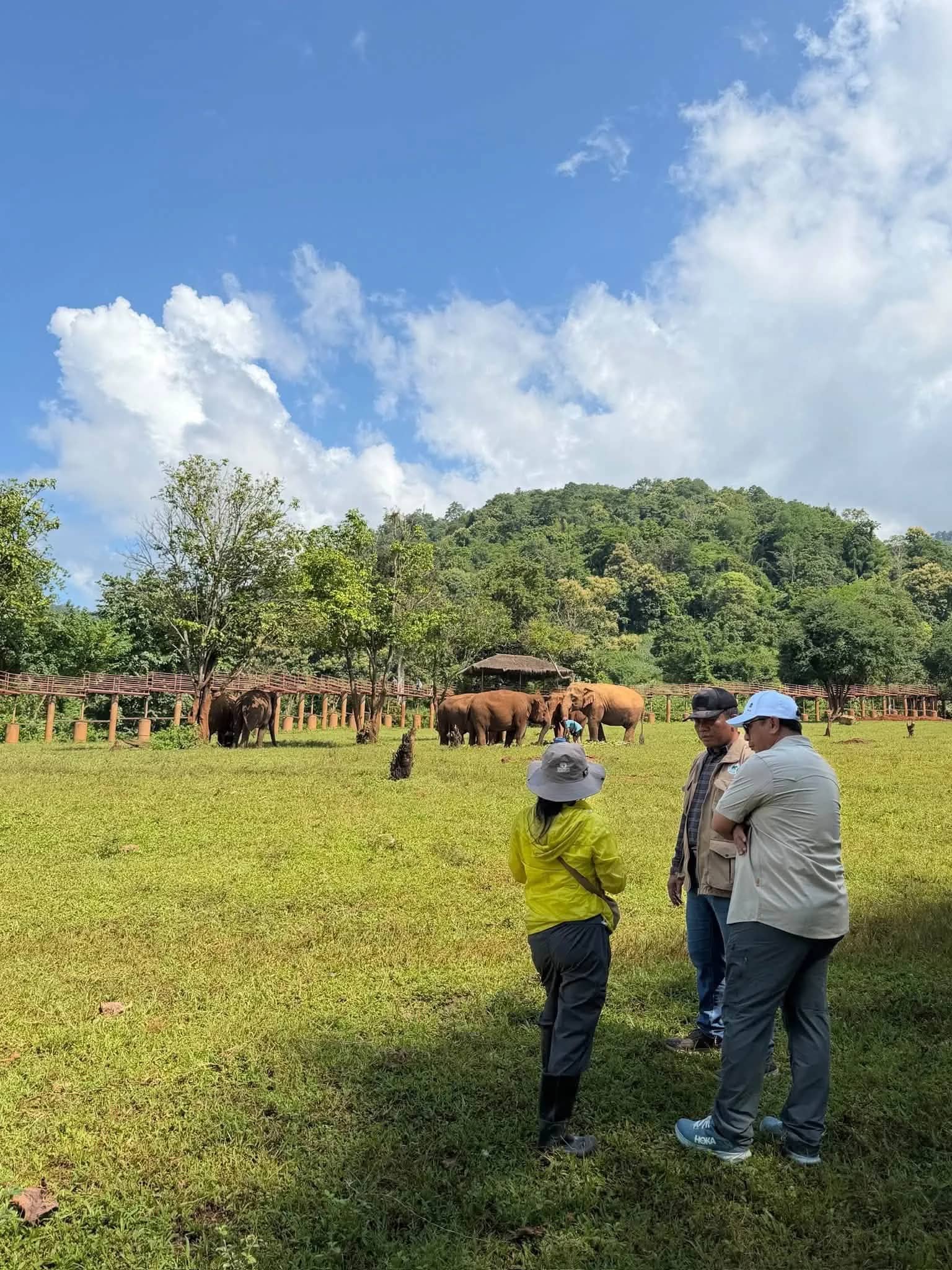 Single Day Visit - Chiang Mai Thailand Karen Elephant Serenity - photo 5