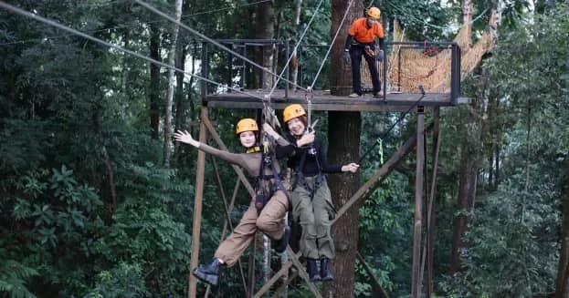 Skyline Jungle Luge - Ziplines, Luge Kart and Giant Swing