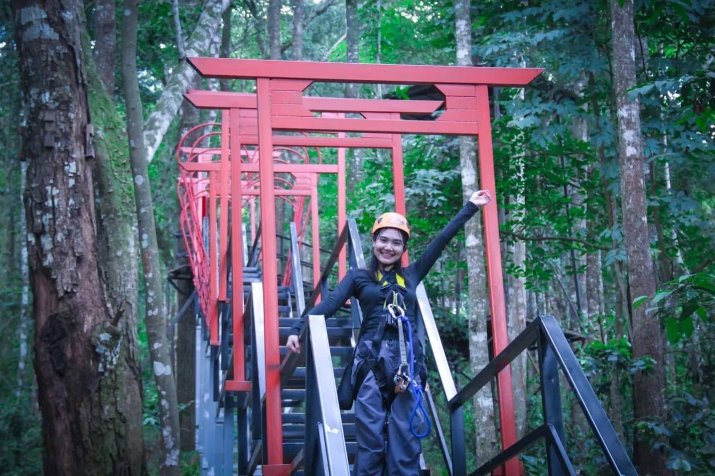 Skyline Jungle Luge - Ziplines, Luge Kart and Giant Swing - photo 4