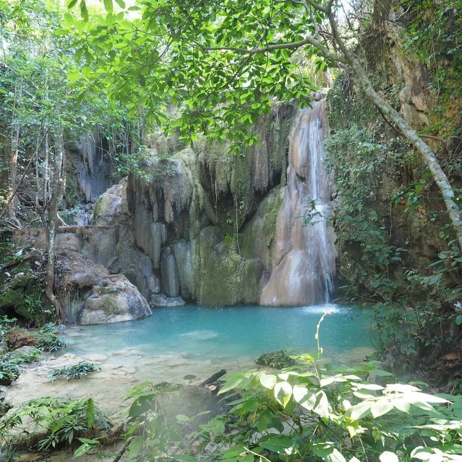 Doi Suthep + Wat Pha Lat + Dantewada & Sticky Waterfall Day Trip