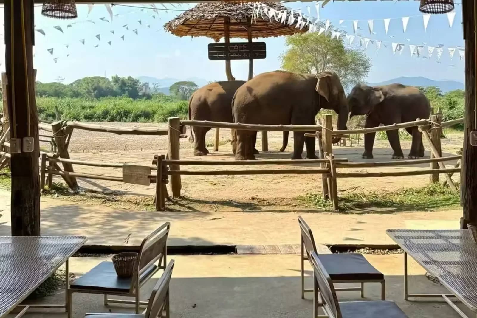 Sticky Waterfall & Cafe Elephant - photo 6